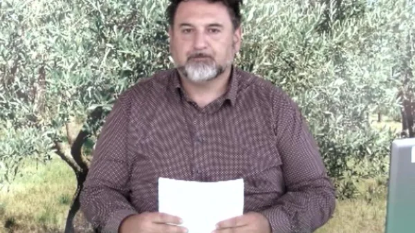 bollettino-olivicolo