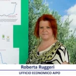 mercato-olio-di-oliva