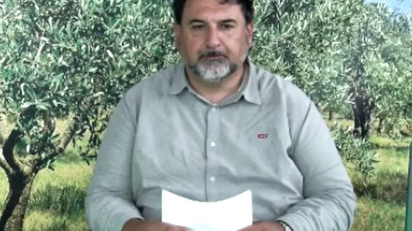 bollettino-olivicolo