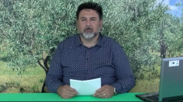 bollettino-olivicolo