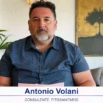 bollettino-olivicolo