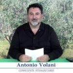 bollettino-olivicolo